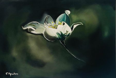 Original 100x70 cm oil painting of a white flower, ready to hang, with a Certificate of Authenticity included.